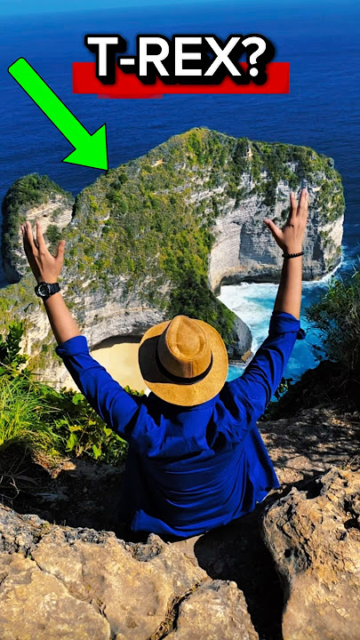 #nusapenida #bali #baliindonesia #kelingkingbeach