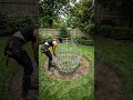 Backyard Razorback Topiary Build… Wait for the Tusk Reveal! 🐗🌿 Oddly Satisfying Timelapse