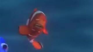Hello! MY NAME IS BRUCE