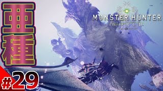 【モンハンワールド 狩猟29日目】遂に遭遇！！桜色の女王リオレイア亜種！！