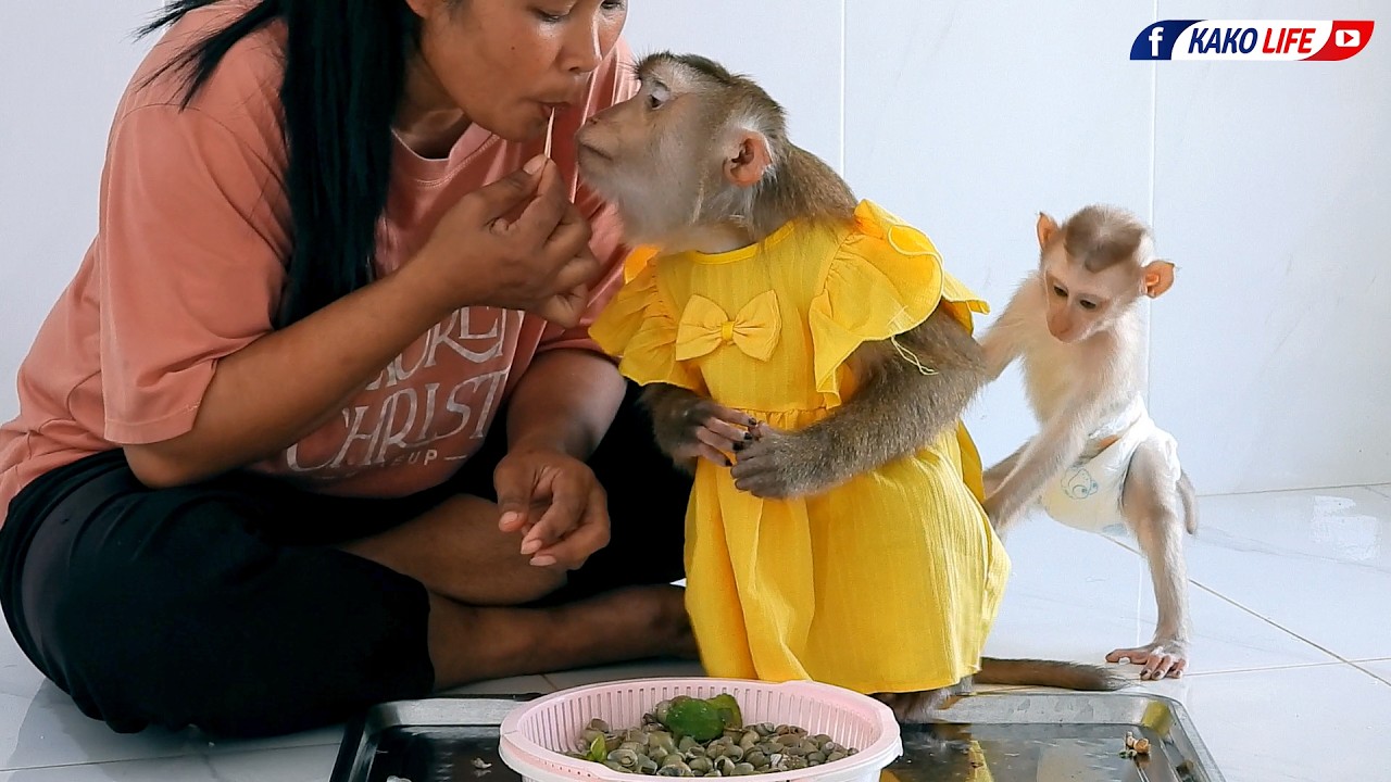 Madam Luna Testing New Boiled Snails With Grandma