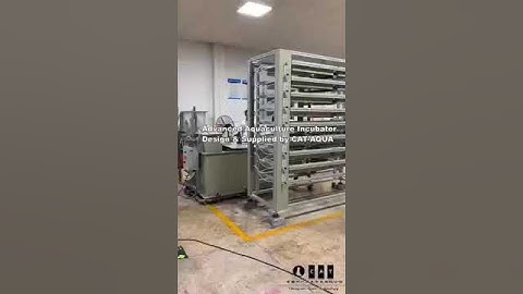 Salmon & Trout Incubator or most species sank type fish eggs, design & supplied by the CAT-AQUA