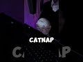 CATNAP…🌙