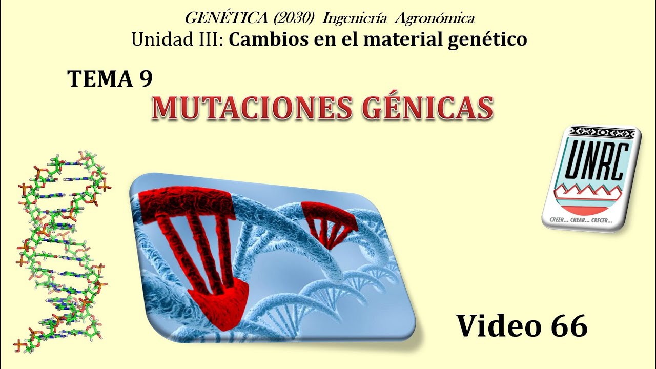 69 Tema 9 Mutaciones génicas. Clasificación. Genética (Cód. 2020)