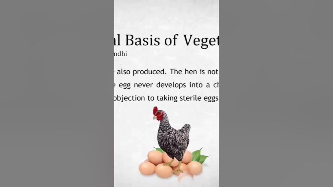 vrk-reveals-facts-about-egg-vegetarian-or-non-vegetarian-is-egg-veg