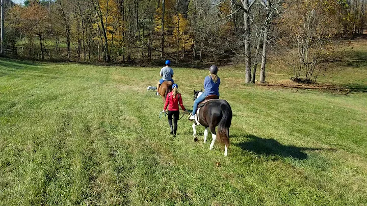 Christine Robey Horse Experience at Atwood Farms