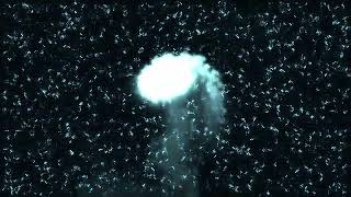 Underwater Light — 10 Minutes of Slow Caustics (4K, No Sound)