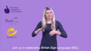 How to sign "My name is... What's your name?" in British Sign Language