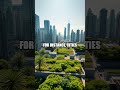 Transforming Urban Landscaping with Smart Irrigation Systems