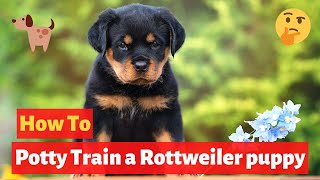 How to easily potty train Rottweiler puppy? Easy yet Effective Training method