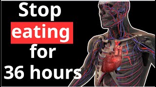 Doctors Hide It From You! This Is What Happens When You Stop Eating For 36 Hours ?