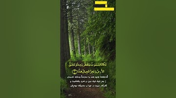 سورة مريم الآية ٨٣ - ٩٨ القارئ الشيخ يوسف العيدروس