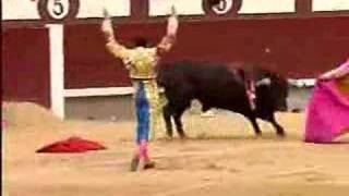 El coso de Las Ventas aclama a José Tomás