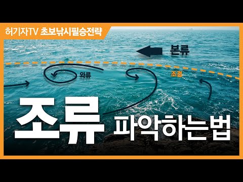 동영상으로 보는 조류 파악법 : 본류, 지류, 반탄류, 와류의 형태