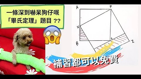 中二數學第十三課：畢氏定理 (F.2 Math Ch13：Pythagoras Theorem)
