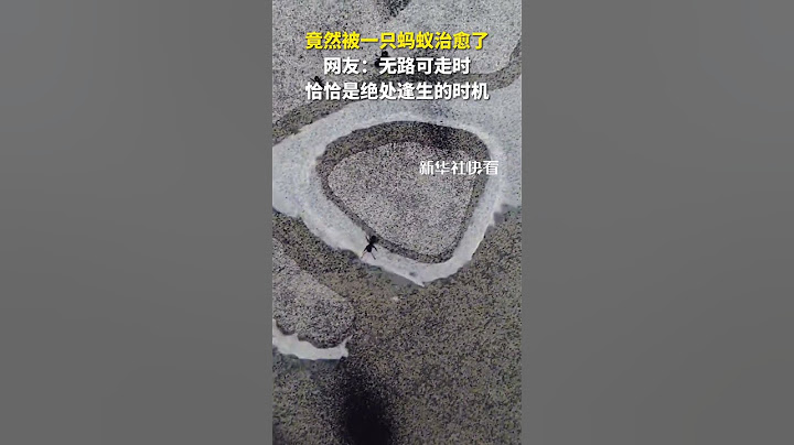 竟然被一只蚂蚁治愈了，网友：无路可走时，恰恰是绝处逢生的时机。#shorts #哲理