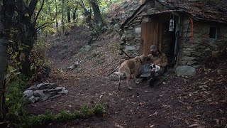 2 days solo in the chestnut forest in a 50 years old abandoned stone cottage.Found a powerful puppy