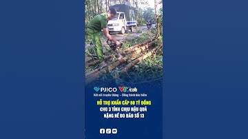 Hỗ trợ khẩn cấp 80 tỷ đồng cho 3 tỉnh khắc phục hậu quả bão số 13 | Bảo hiểm PJICO