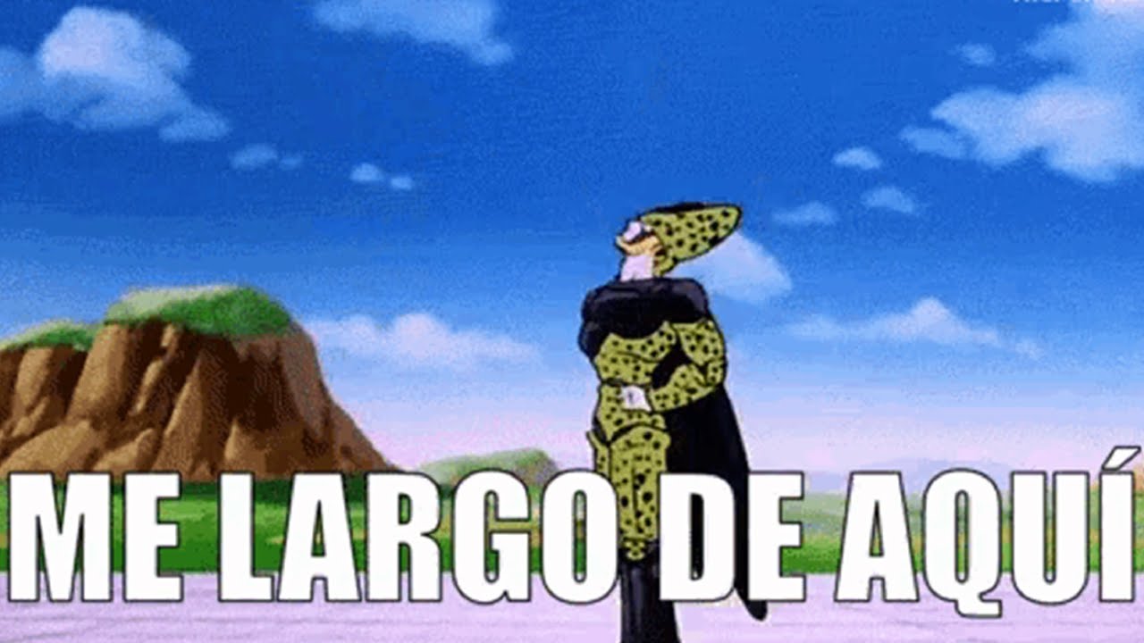 ¿ME LARGO DE YOUTUBE? - YouTube