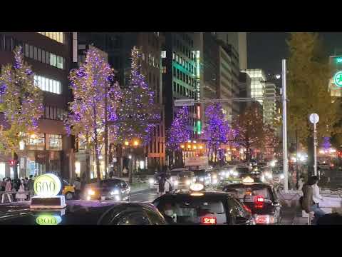 Downtown in Dotonbori, Osaka river, Japan, Christmas tree, along the road #foryou #travel #food