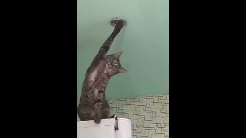 Извините, а вы точно электрик