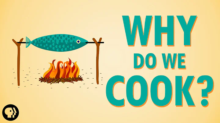 Why Do We Cook? - DayDayNews