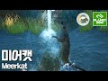 [플래닛 주] 이제 보니 다람쥐가 맞네..? 검은꼬리프레리도그 I 서식지 디자인 I Planet Zoo