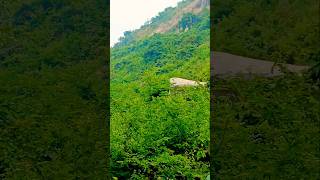 🛤 Deep Nature 🌏🏞🍎🎏#nature #forestvlog #song #trendingshorts #youtubeshorts#jungleboylifestyle