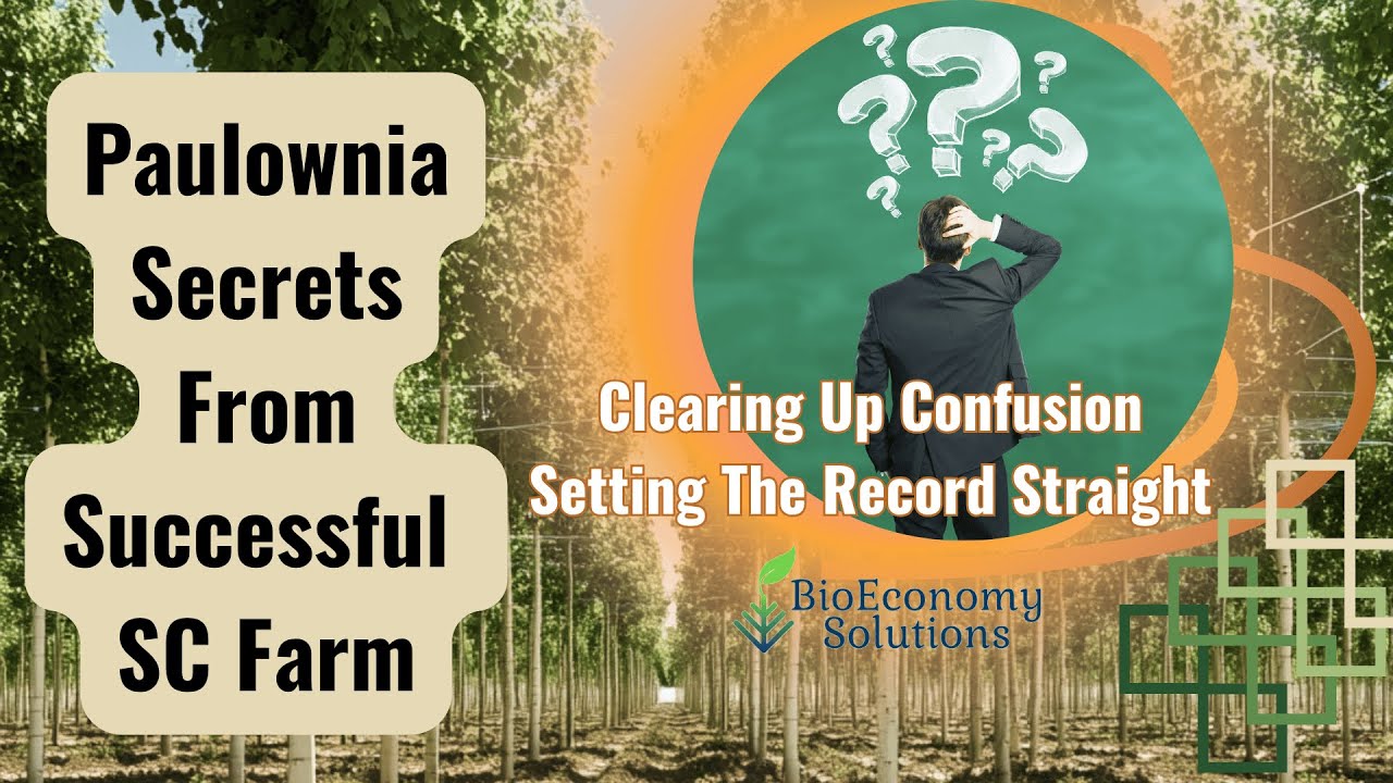 Paulownia Secrets From Successful SC Farm #paulownia #empress #kiri #farmer #diy #invasive #farming