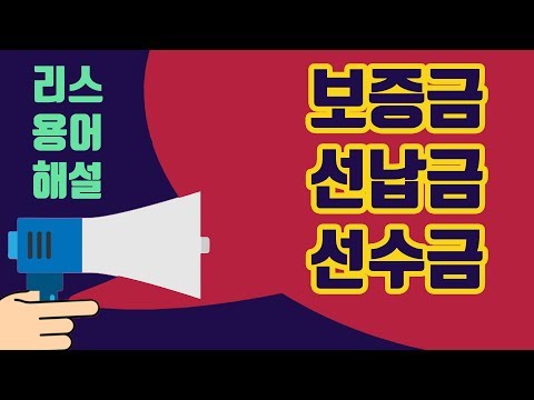 중고차보험