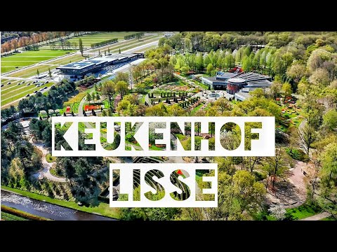 Keukenhof | Drone 4K