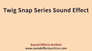 Twig Snap Series Sound Effect - Royalty Free