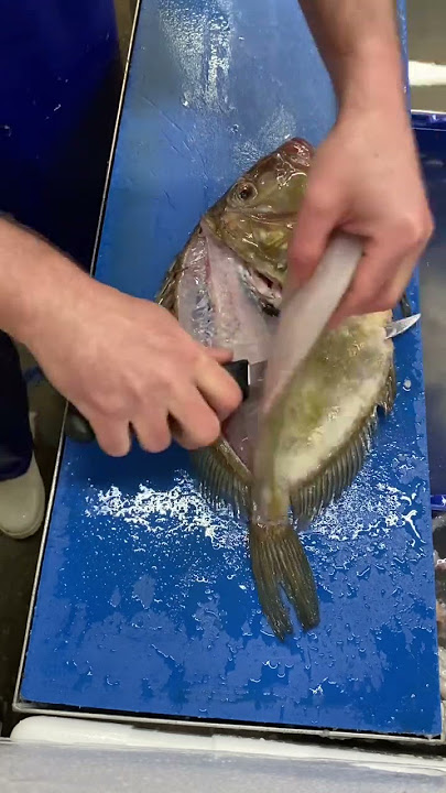 Filleting the Second side of a beautiful John Dory . #shorts #fishmonger