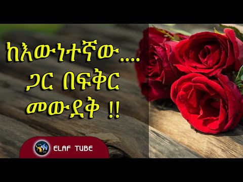 ቪዲዮ: የዲትሮይት 15 ምርጥ ምግብ ቤቶች