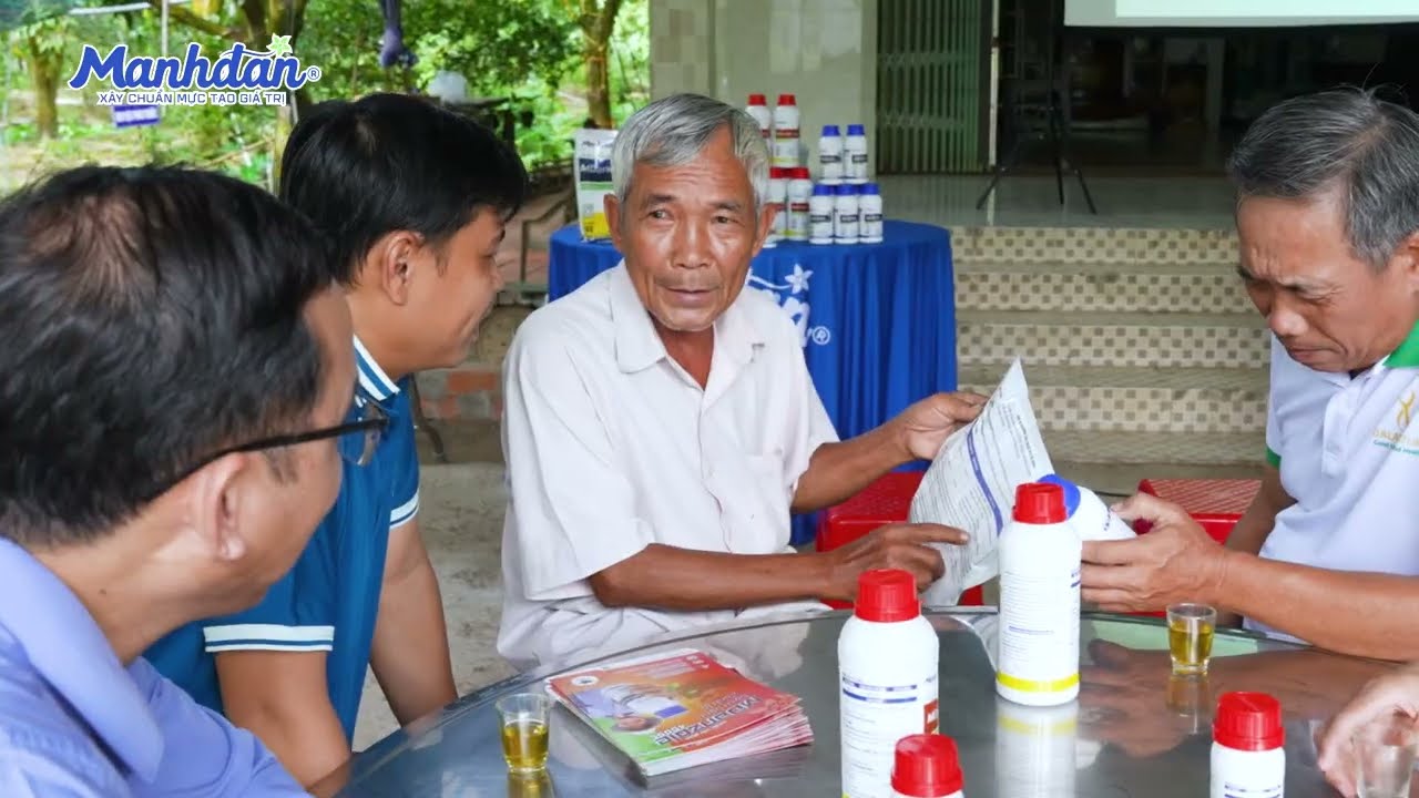 Giải mã bí quyết xoài đẹp cùng các lão nông ở Đồng Tháp