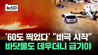 '60도 찍었다' 바닷물도 데우더니 급기야…