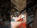 ASMR RUSTTY CAR RESTORATION!!!Satisfying Ford Truck Teardown ASMR #asmr#shorts