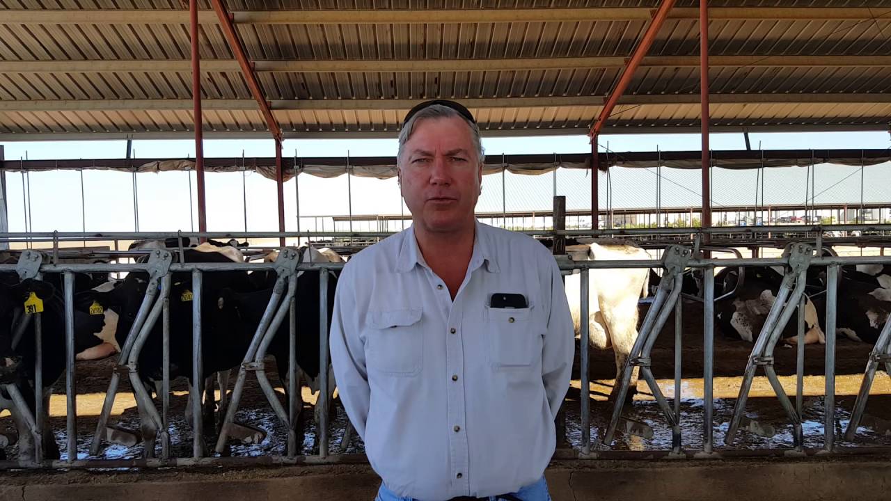 MIKE SCHOUTEN, MISSION DAIRY YouTube