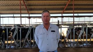 MIKE SCHOUTEN MISSION DAIRY