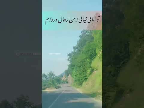 دلم جامانده پیشت دلت یکجای دیگه است تقدیم نگاه زیباتون موسیقی خواننده حامی حیوانات لطیفه