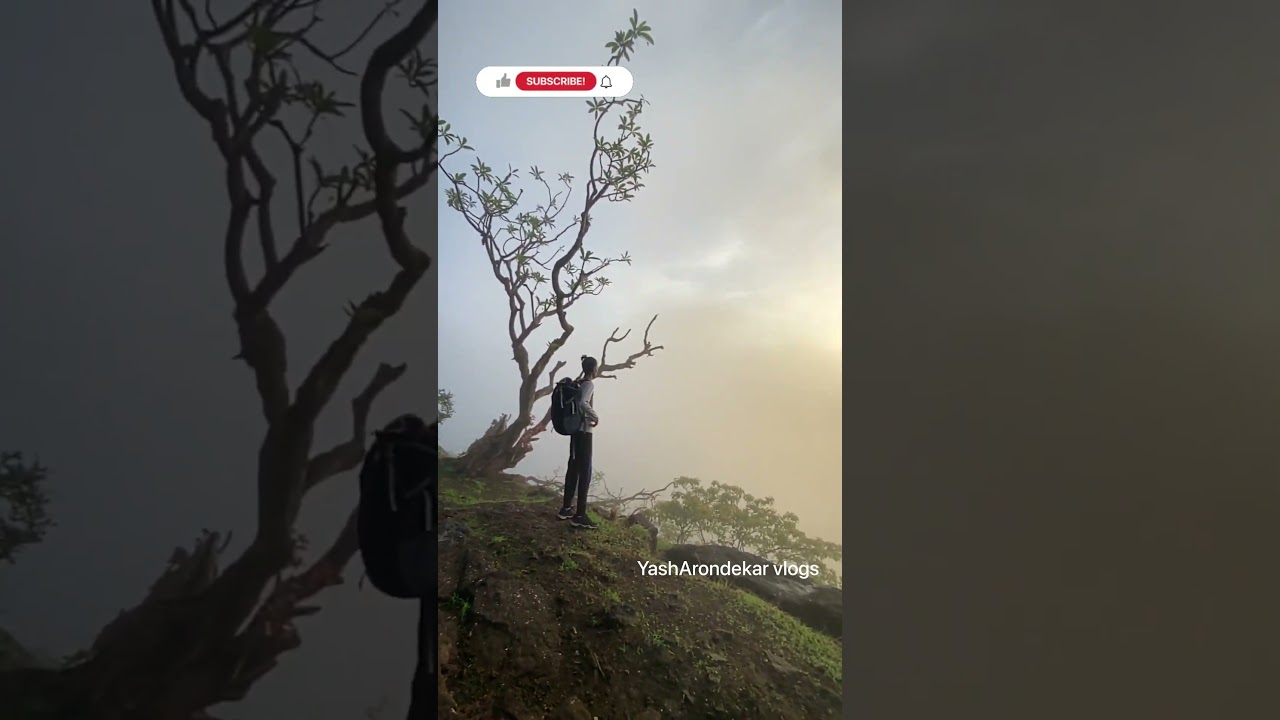 Tha best view comes after a hardest climb | 