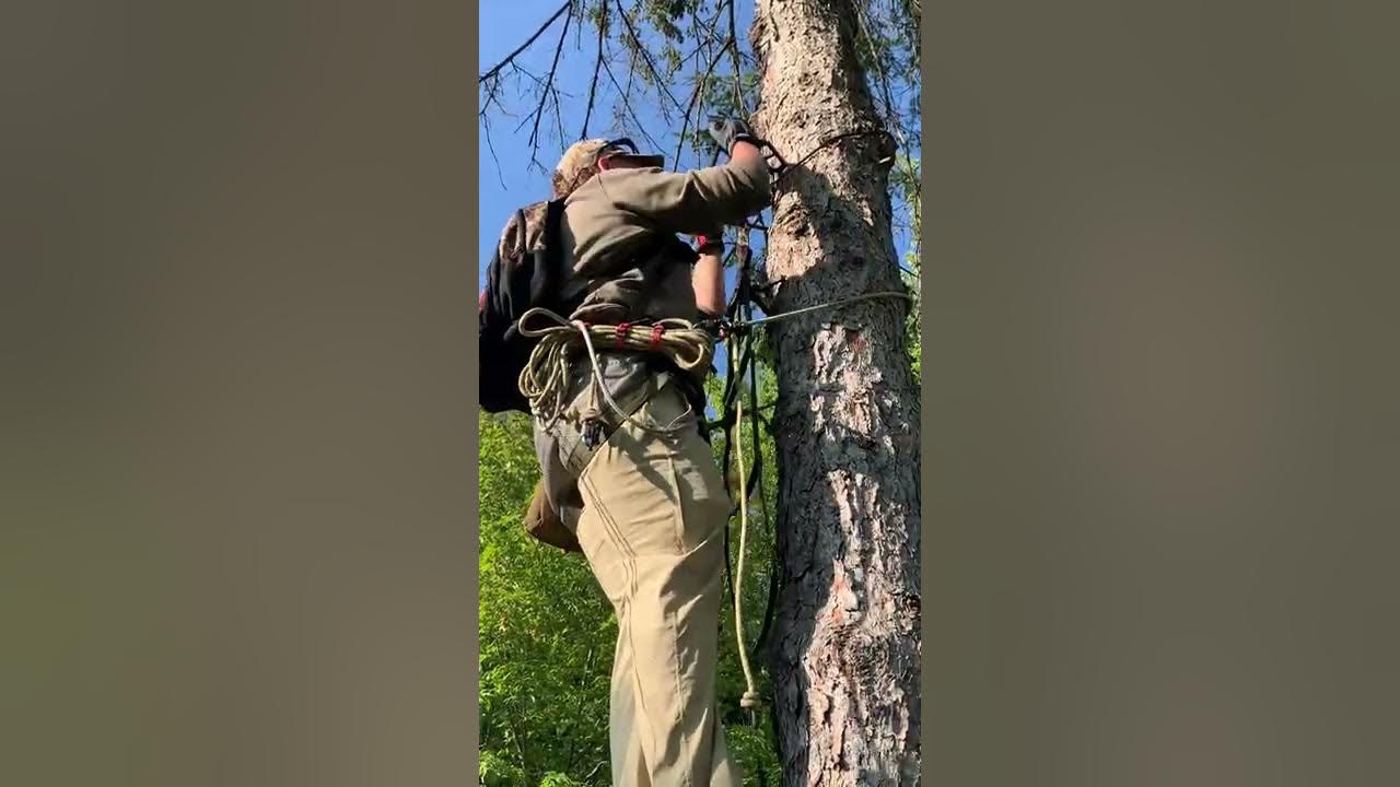 Logan Harris One Stick Climbing and Rappel Method YouTube