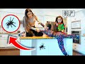 Giant TARANTULA Gets LOOSE In Our New HOUSE! *Scary* | Jancy Family