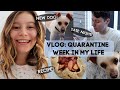 VLOG: Quarantine Week In My Life | G Hannelius