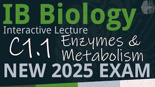 NEW 2025 EXAM - IB Biology C1.1 - Enzymes & Metabolism [SL/HL] - Interactive Lecture