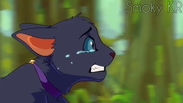 [✖️] ANIMAL IN ME | Scourge Animation Tribute (W A R R I O S   C A T S)[✖️]