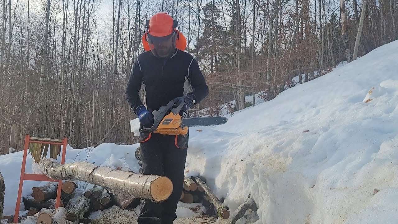 Skogsarbeid i januar - Neste vinters ved