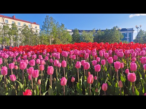 Мурманская область, г. Кировск. Центральная площадь. Заполярье. 20.06.2023