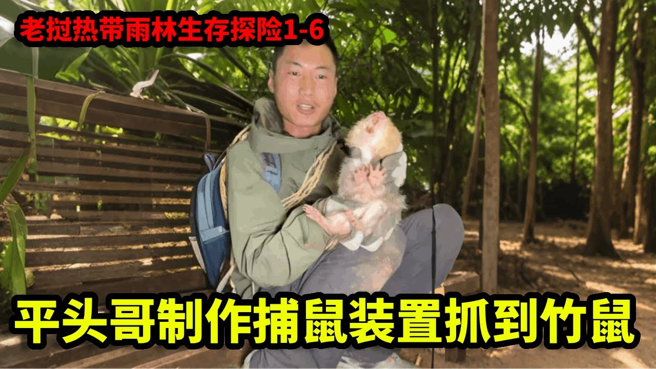 老挝热带雨林生存探险1-6：开始雨林探索模式，制作捕鼠装置，在东南亚的深山老林里面吃上了焦香的烤竹鼠！【户外平头哥】