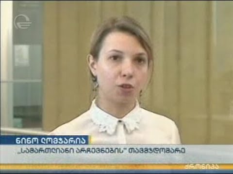 საარჩევნო დარღვევების განხილვა უწყებათაშორის კომისიაზე, ნინო ლომჯარიას კომენტარი